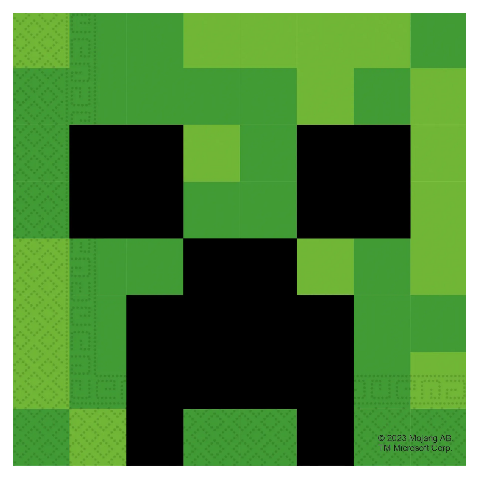 20 TOVAGLIOLI MINECRAFT 33 CM