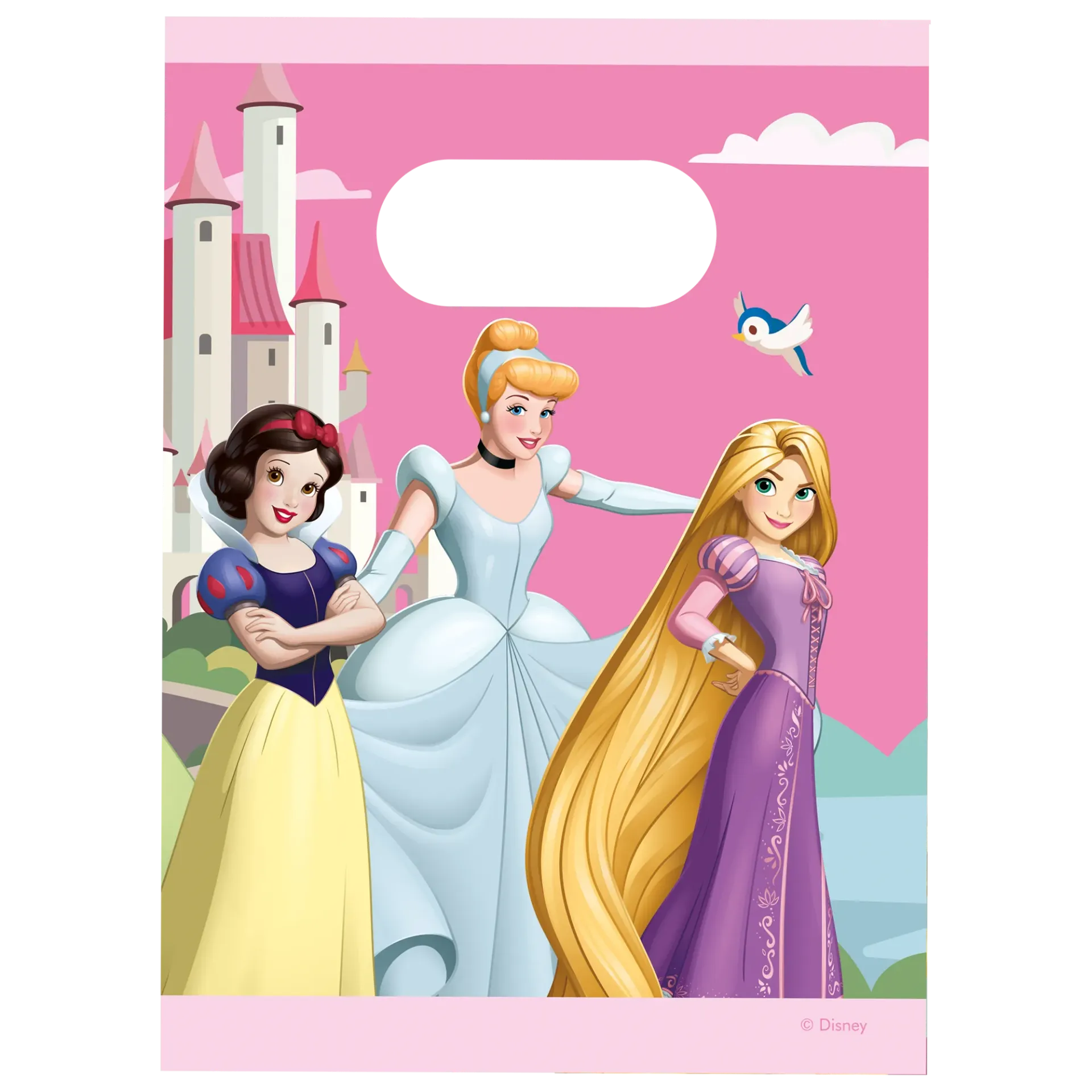 4 SACCHETTI DI CARTA DELLE PRINCIPESSE DISNEY WORLD