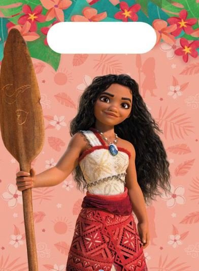 4 sacs en papier Moana