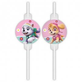 4 PAILLES EN PAPIER PAW PATROL SKYE