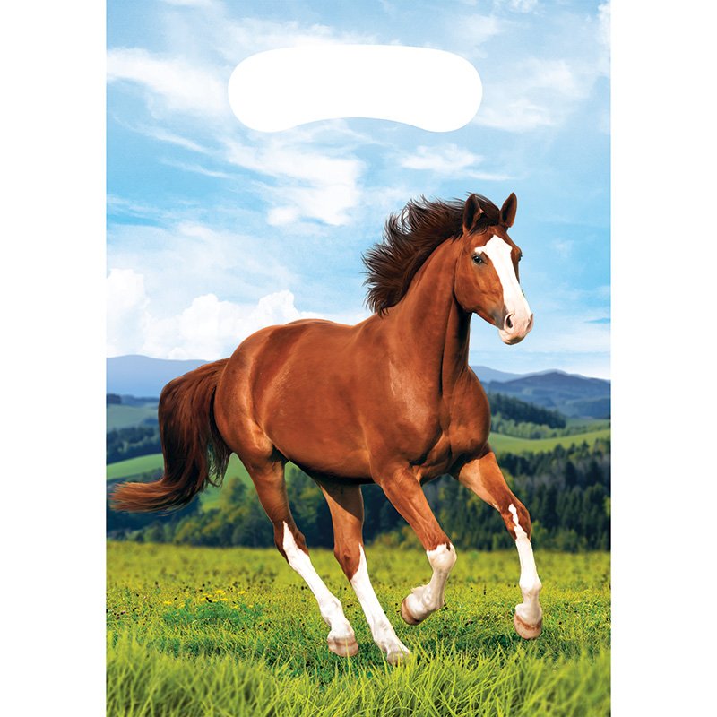 8 sacs pour chevaux et poneys