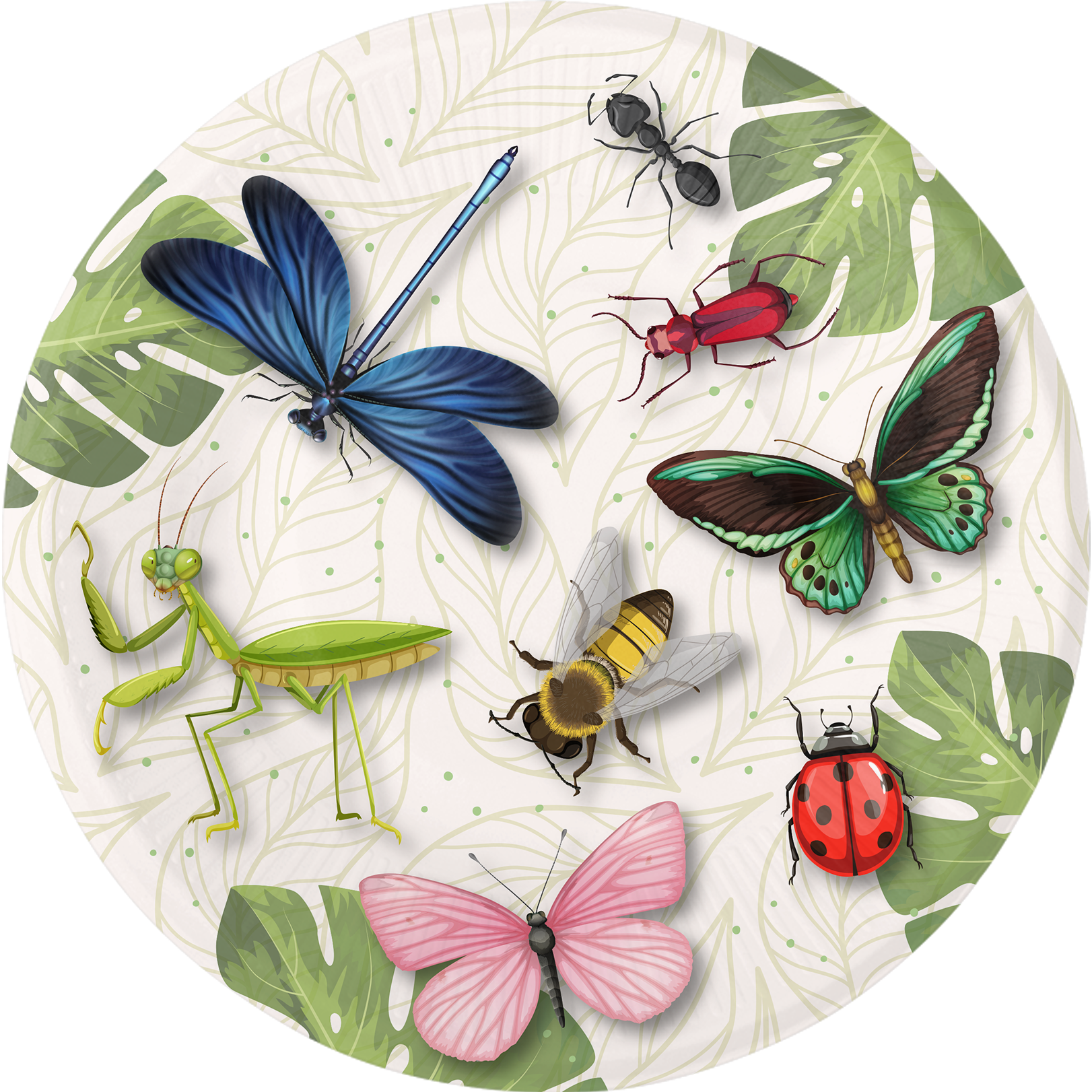 8 assiettes de 23 cm INSECTES D'ANNIVERSAIRE