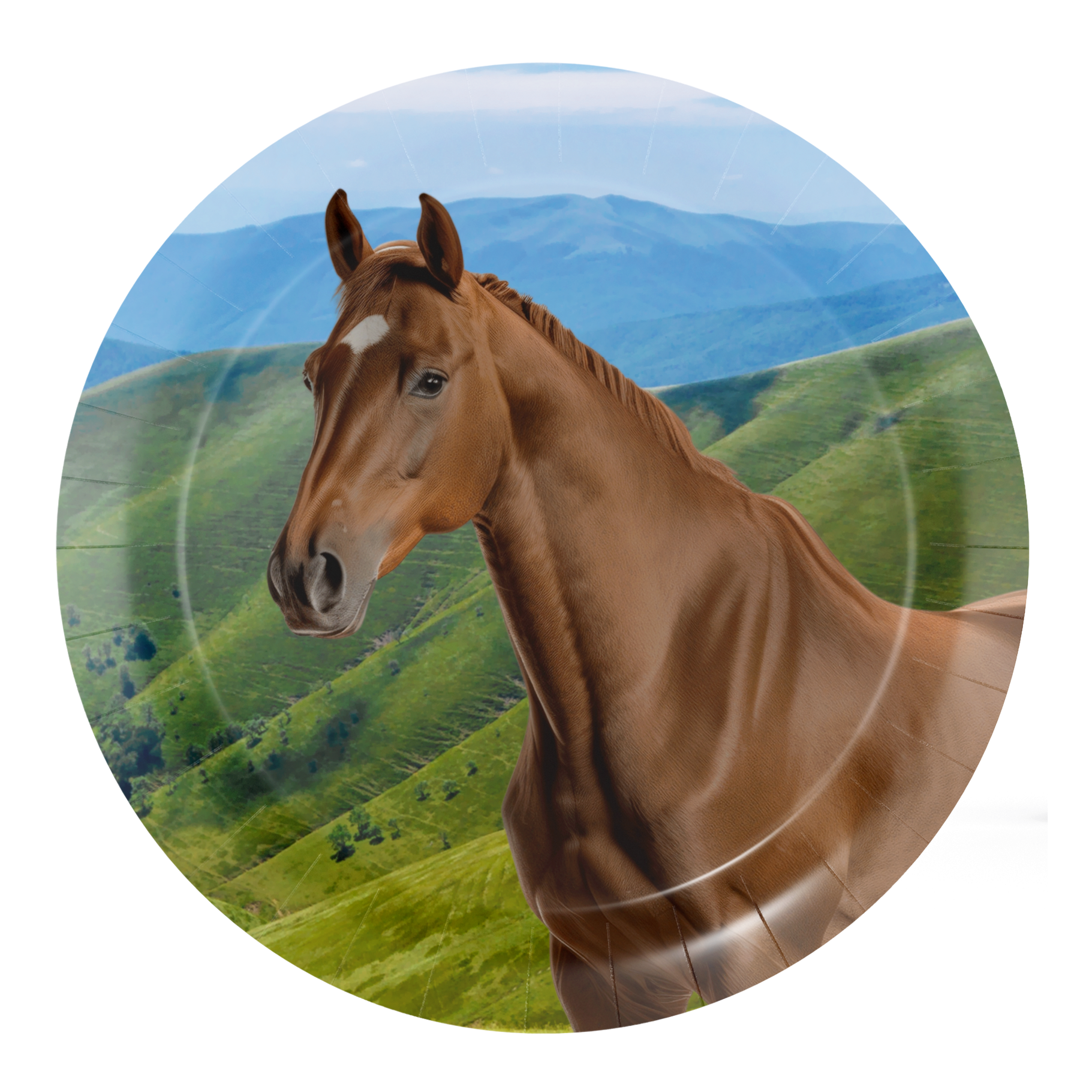 8 assiettes représentant des chevaux et des poneys, 18 cm