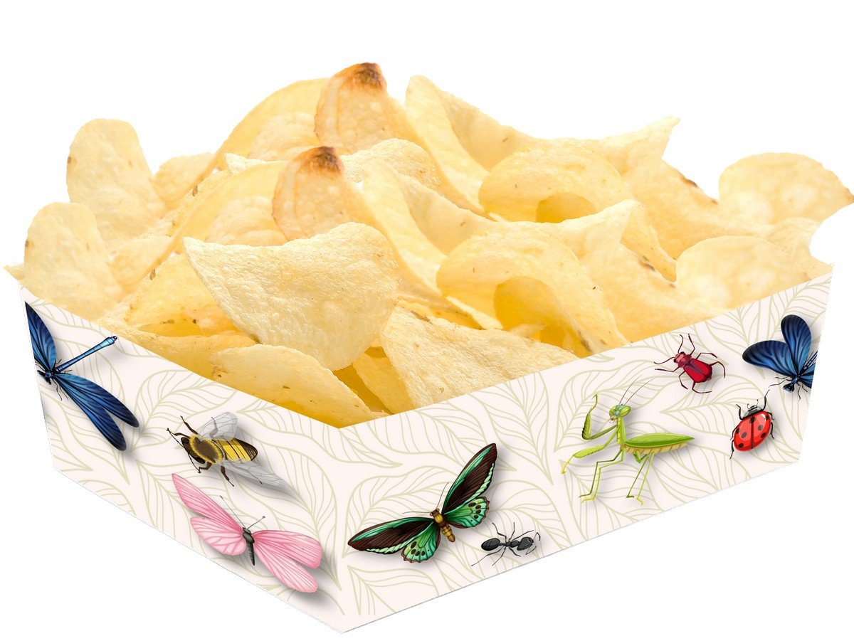 Plateau à thème insectes 15 x 11 x 6 cm