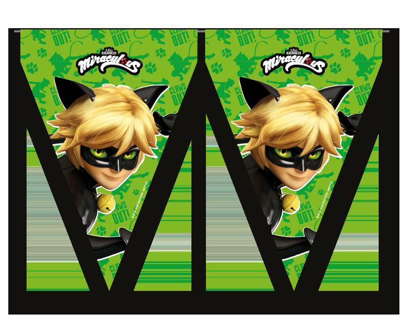 Banderin Cat Noir