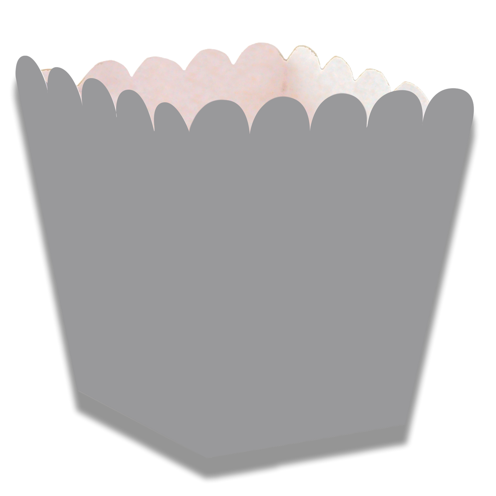 BOÎTE SILVER LOW