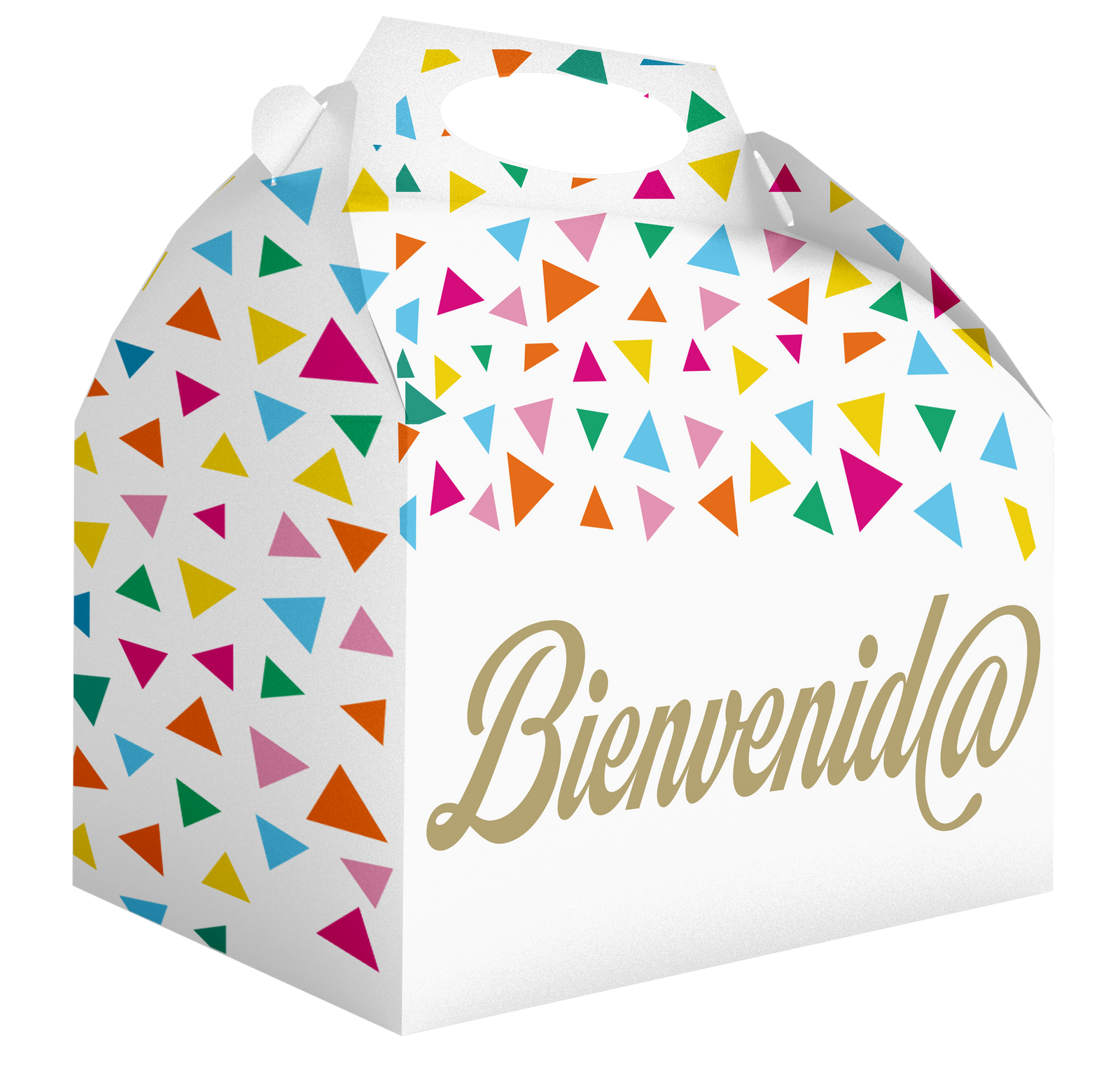 Caja Bienvenida 20 x 16 x 11 cm