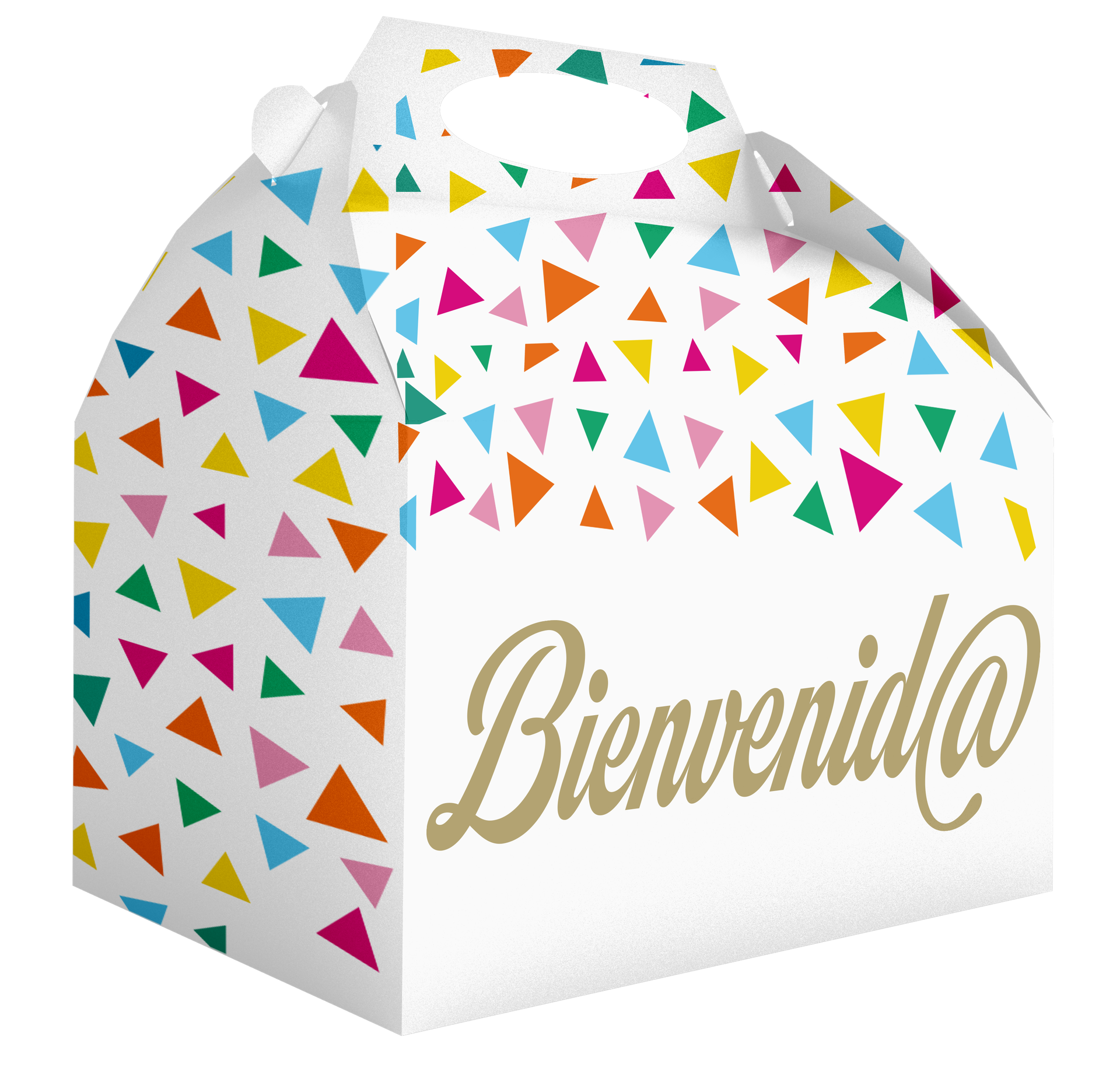 Boîte de bienvenue 20 x 16 x 11 cm