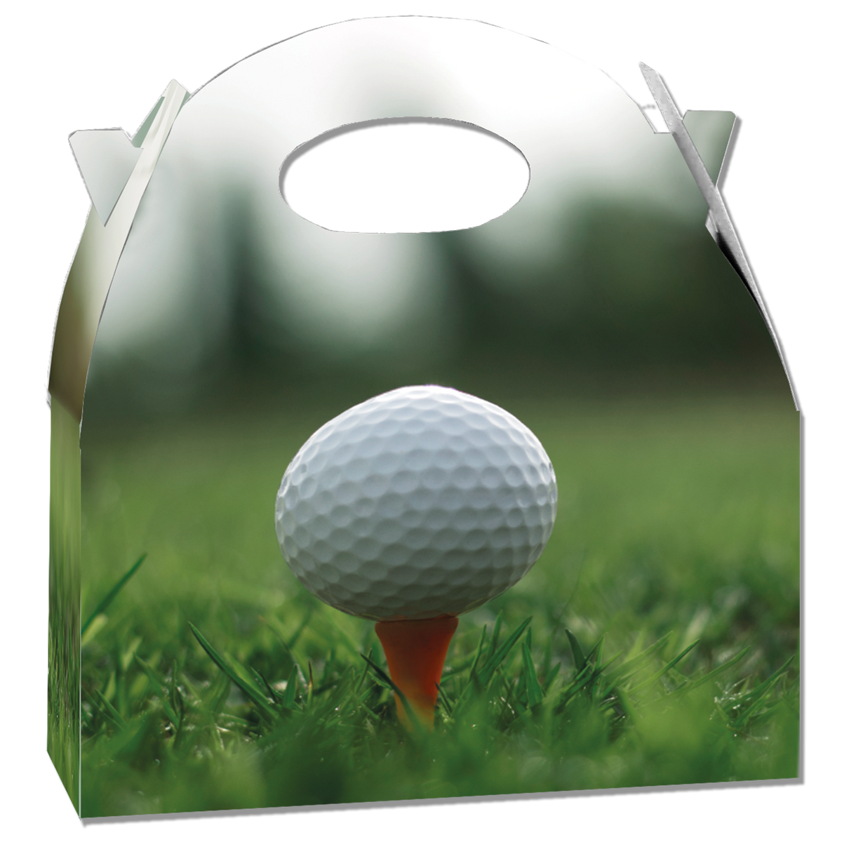 Caja Golf 20 x 16 x 11 cm