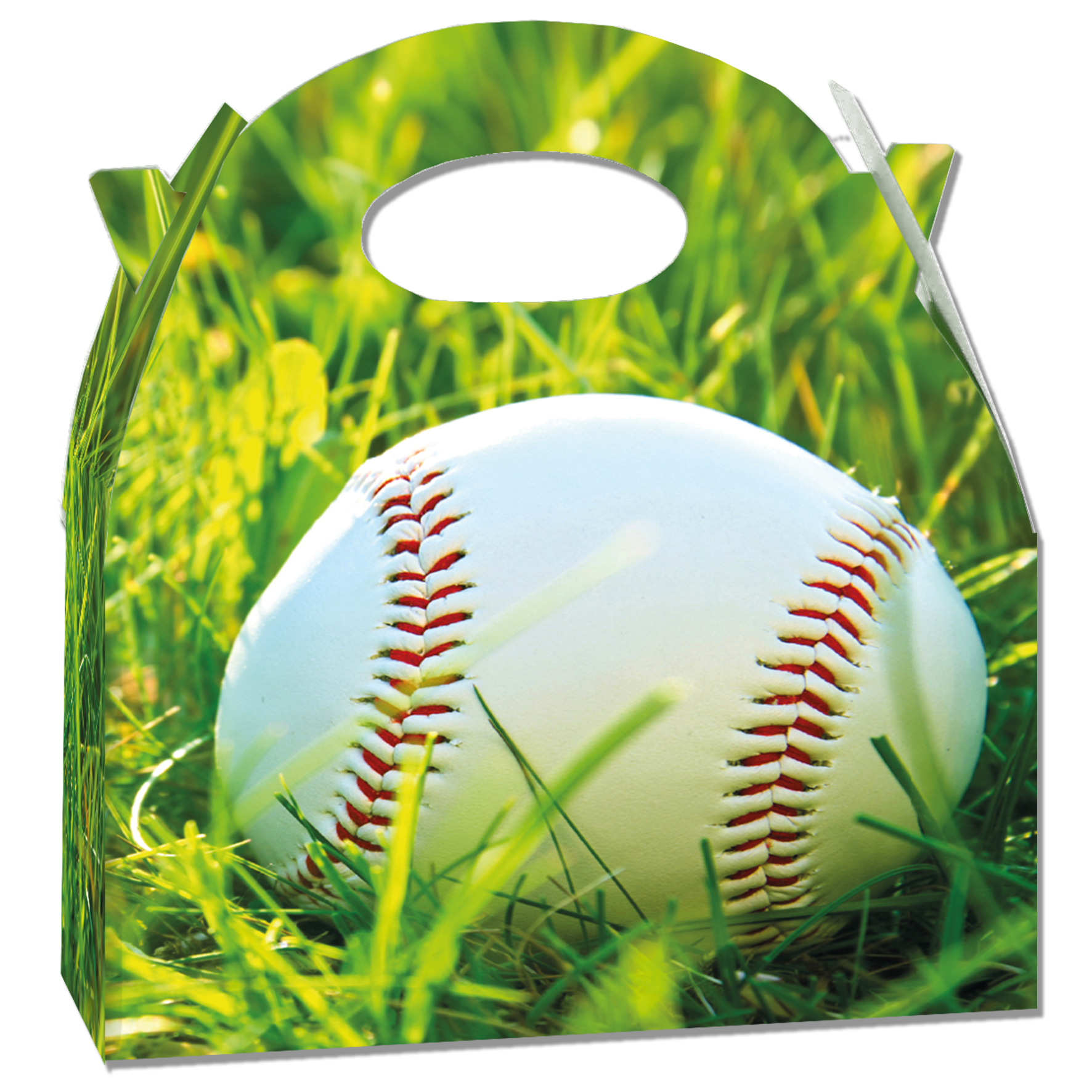 Boîte de baseball 20 x 16 x 11 cm