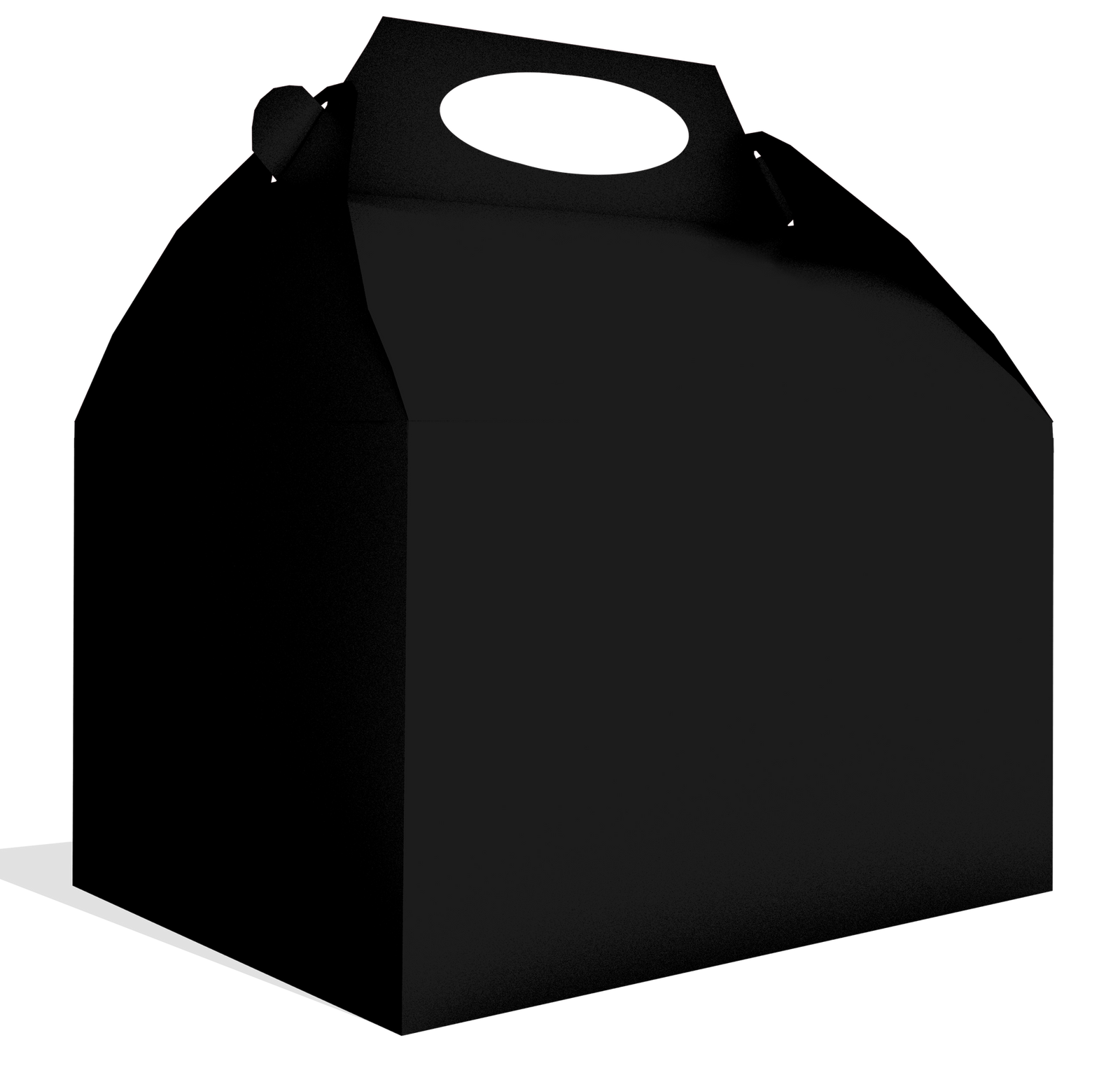 Boîte noire 20 x 16 x 11 cm