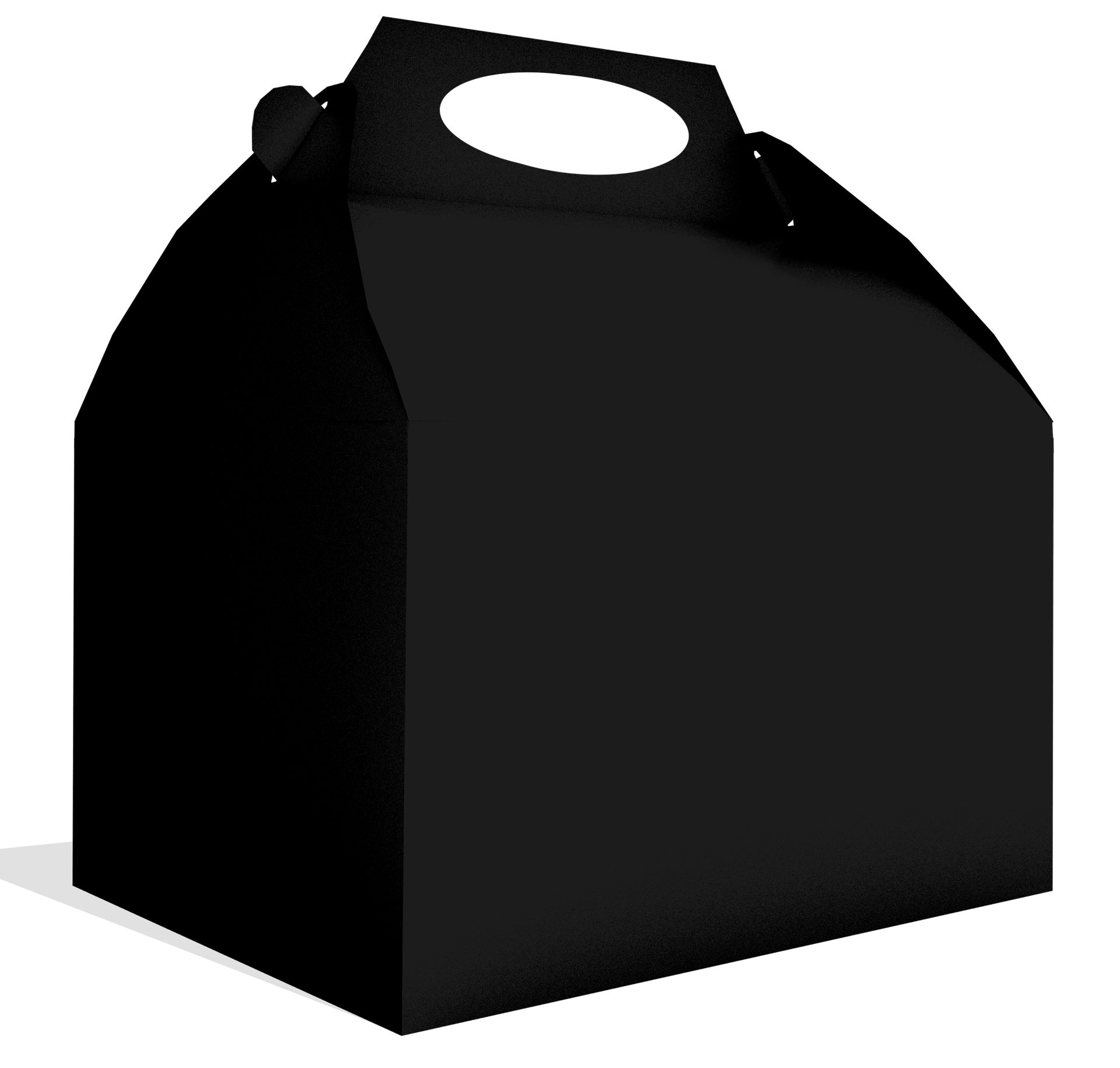 Boîte noire 20 x 16 x 11 cm