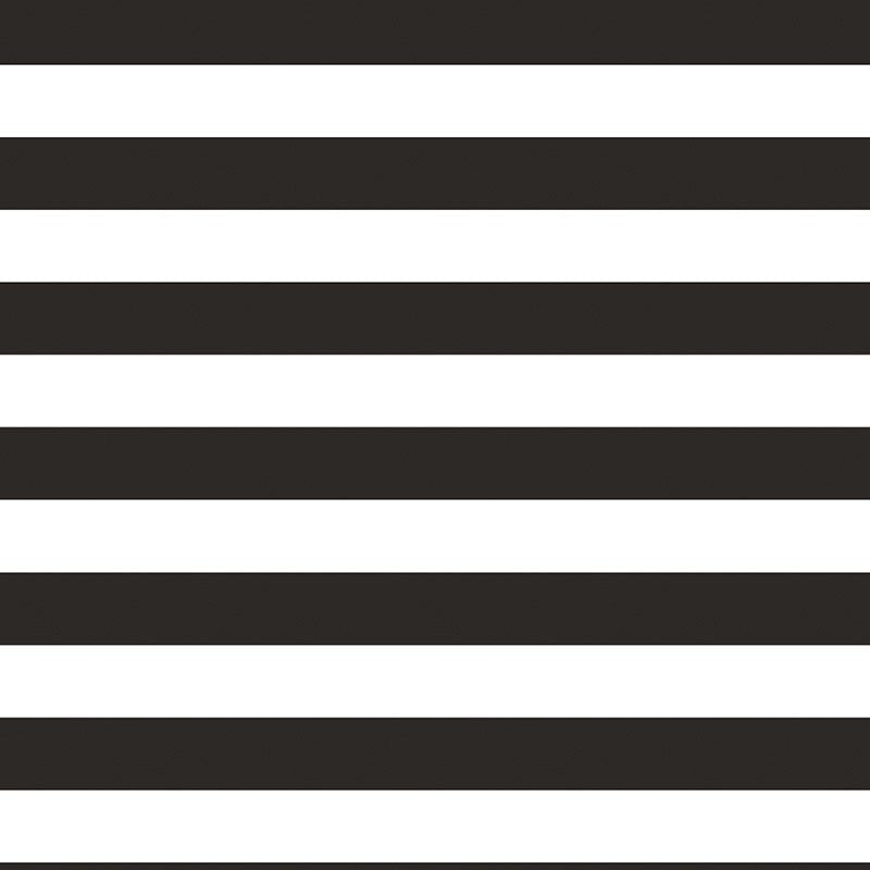 FOND À RAYURES NOIRES ET BLANCHES POUR PHOTOCALL