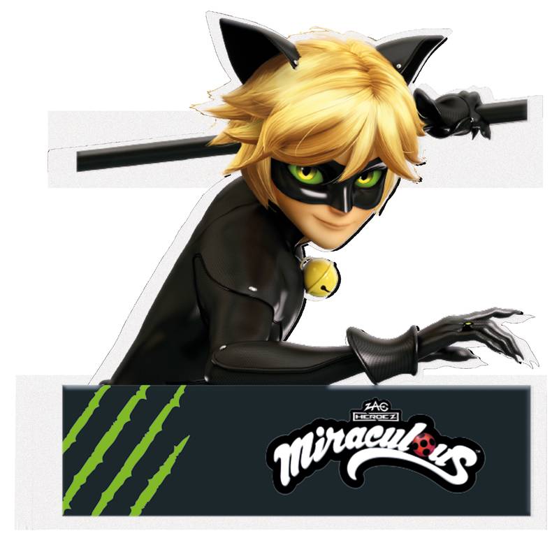 Figurine Porexpan Chat Noir