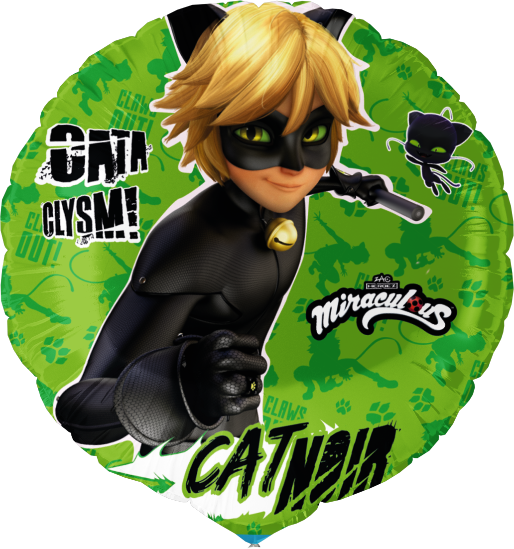 Ballon Chat Noir 46 cm