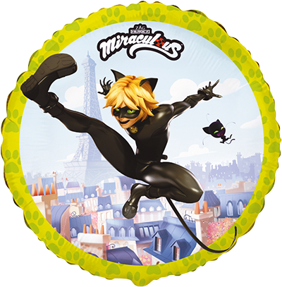 Ballon rond Chat Noir 46 cm