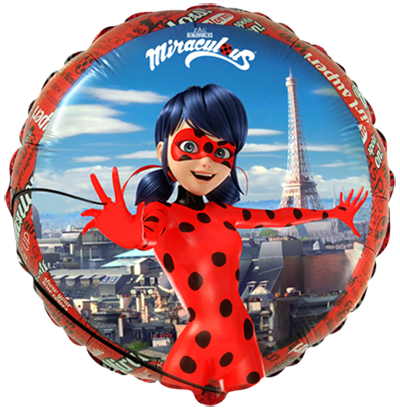 Ballon rond coccinelle 46 cm