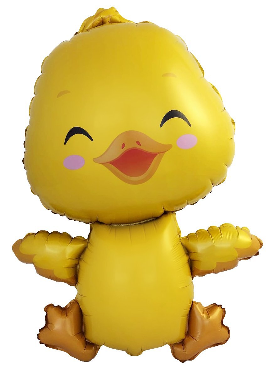 Ballon poussin 59 x 82 cm