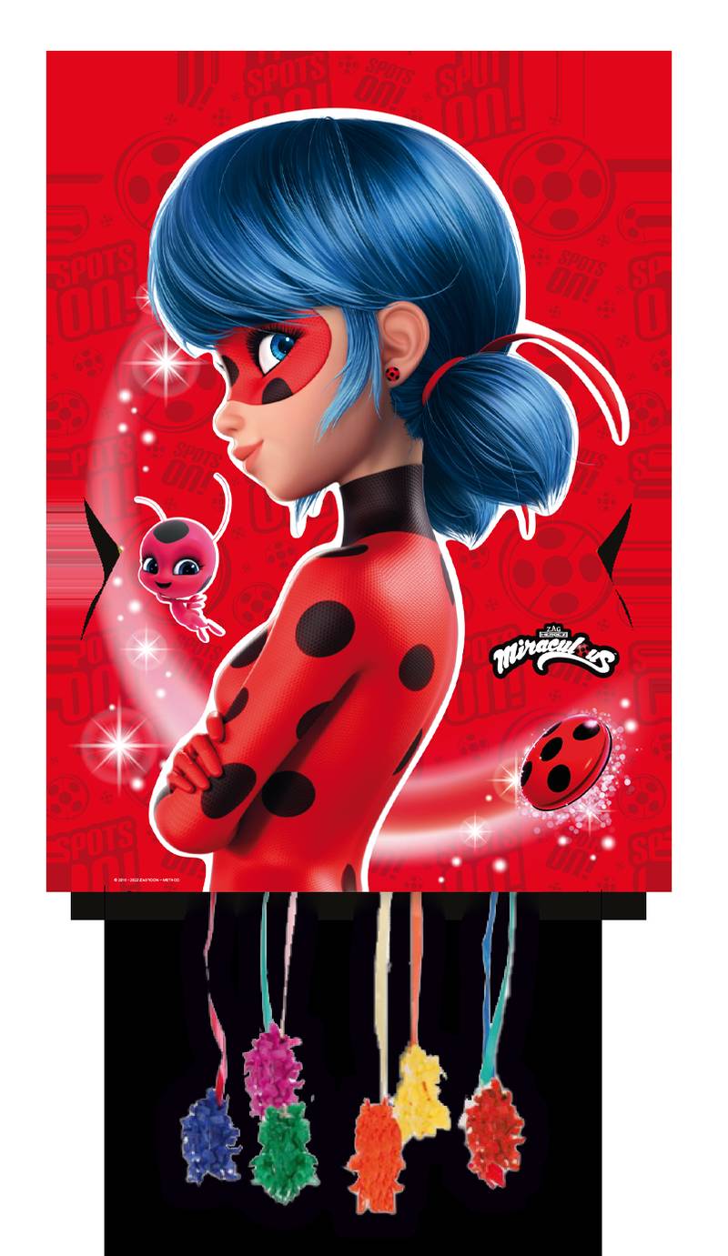 Grande piñata coccinelle 65 x 46 cm